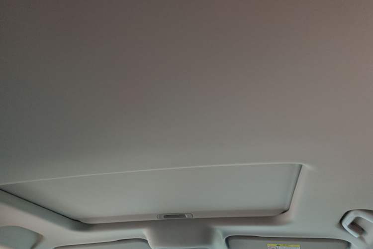 Used Tank 300 2021 Off-Road Edition 2.0T Conqueror