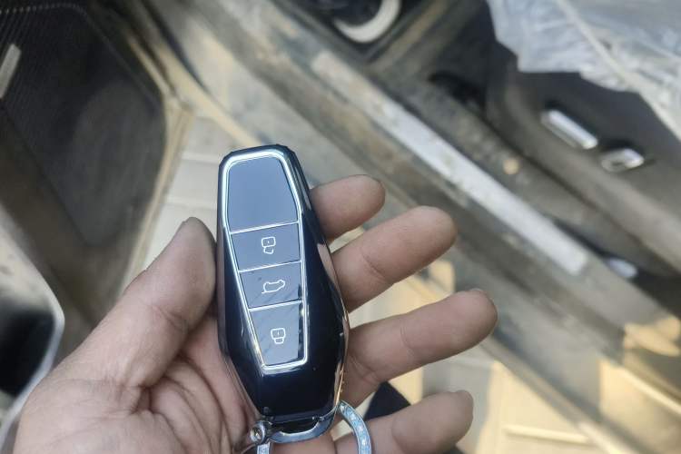 Used  03 2024 472km Four-Wheel Drive Long-Range Version
