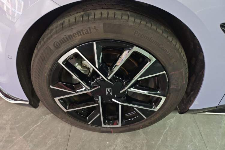 Used  06 2025 Pro Range-Extended Edition
