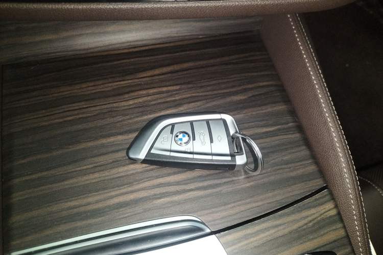 Used BMW 5 Series New Energy 2020 Mileage Upgrade Version 530Le Luxury Package