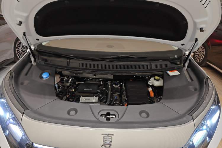 Used BYD Xia 2025 DM-i 1.5T 180km Excellence Model