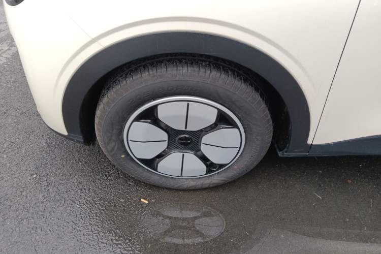 Used  Geome 2025 310km Youth Edition