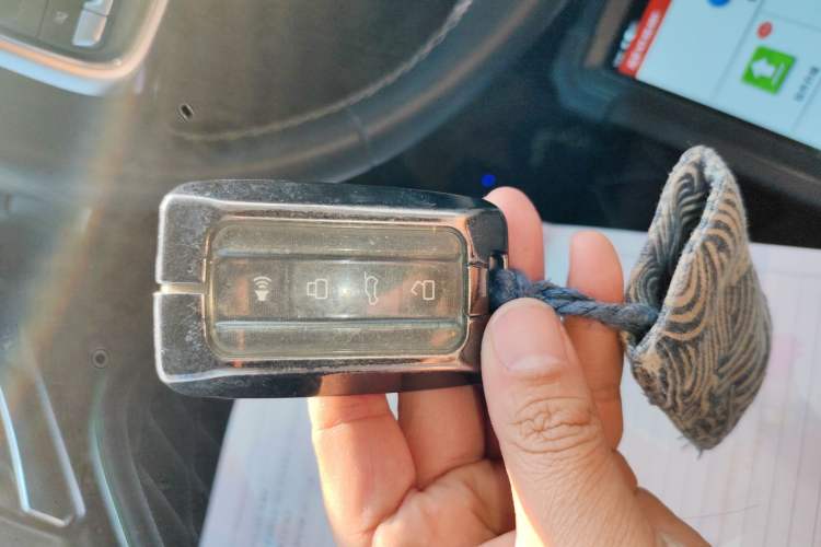 Used Tank 300 2021 Off-Road Edition 2.0T Challenger
