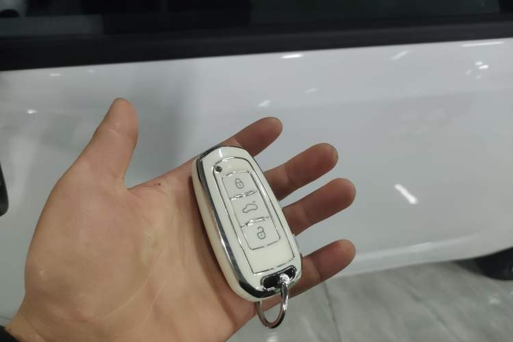 Used  Panda 2024 Panda Mini 200km Endurance Bear
