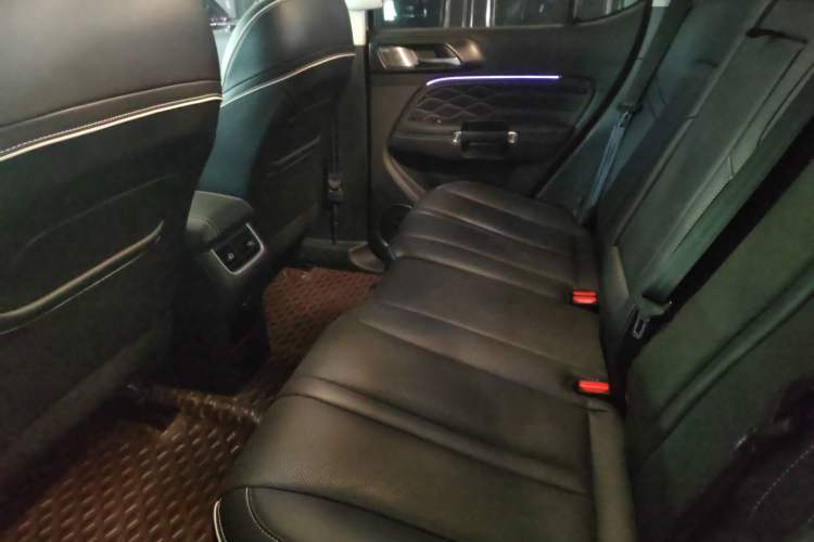 Used Tank 300 2021 Off-Road Edition 2.0T Conqueror
