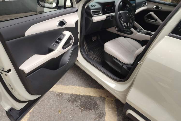 Used BYD Yuan UP 2024 401KM Leading Edition
