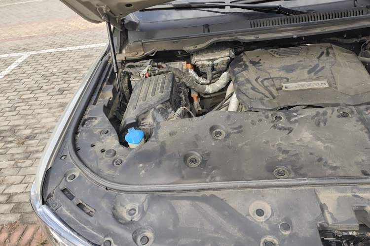 Used Tank 500 New Energy 2023 Hi4-T
