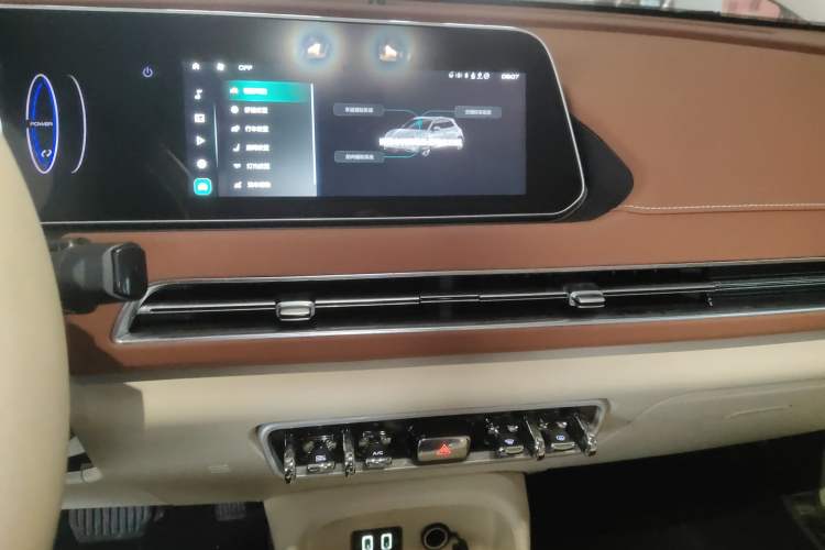 Used ORA Good Cat 2022 Morandi Edition 400km Standard Range Premium Version Lithium Iron Phosphate
