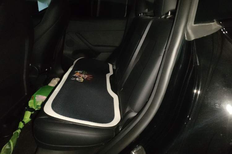 Used Tesla Model Y 2023 Long-Range All-Wheel-Drive Version
