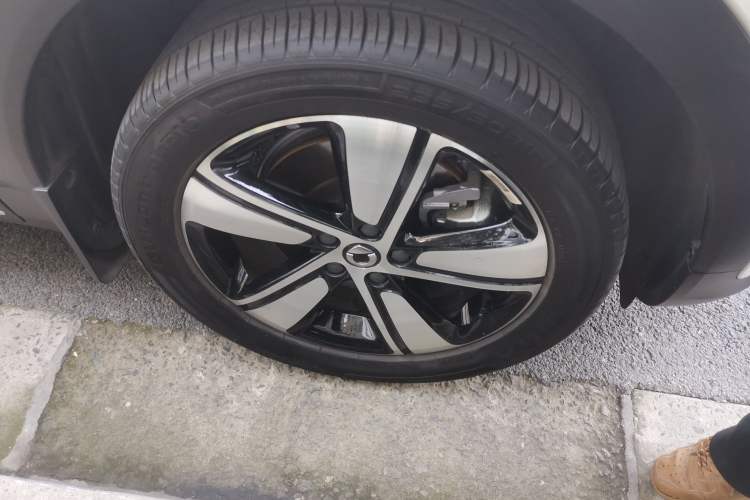 Used  #1 2024 Dynamic Standard Edition
