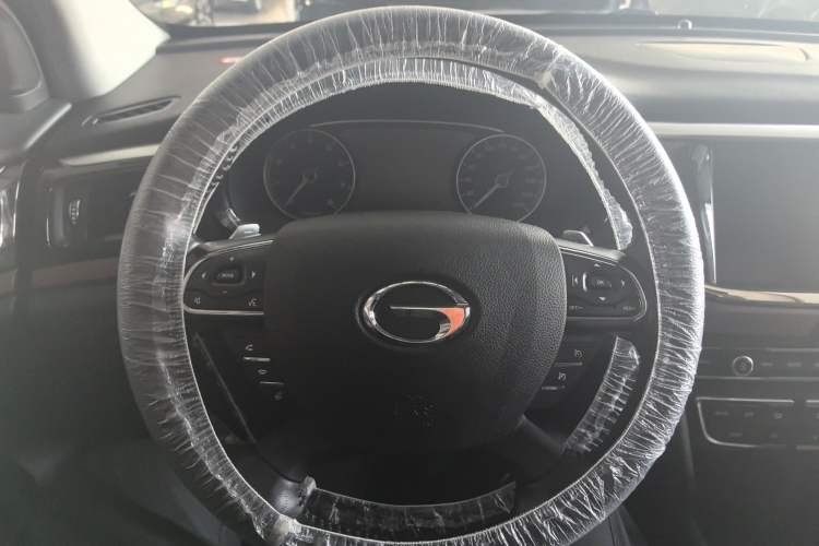 Used GAC Trumpchi GS8 2017 320T Two-Wheel Drive Luxury Smart Connectivity Version (7 Seats)
