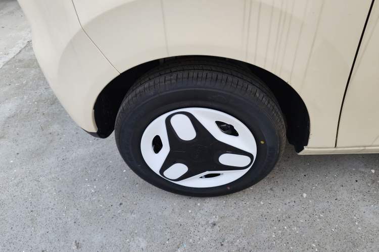 Used  Panda 2025 210 km – Yuanqi Bear
