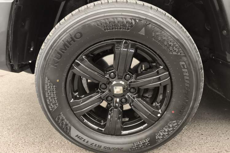 Used Tank 300 2024 2.0T Conqueror