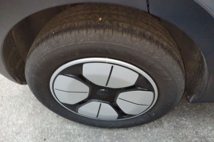 Used  Geome 2025 310km Youth Edition