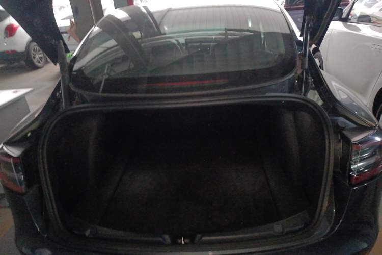 Used Tesla Model 3 2021 Revised Version Standard Range Rear-Wheel Drive Upgraded Edition 3D1