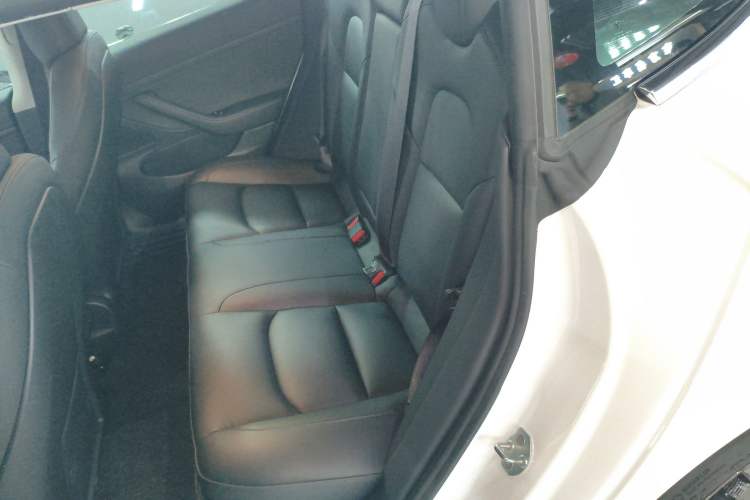 Used Tesla Model 3 2020 Revised Version Standard Range Rear-Wheel Drive – Upgraded Edition
