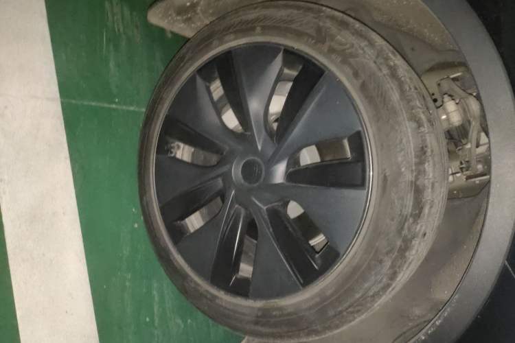 Used Tesla Model Y 2023 Rear-Wheel-Drive Version
