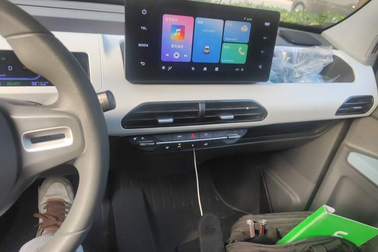 Used  Panda 2023 Panda Mini 200km Dynamic Bear
