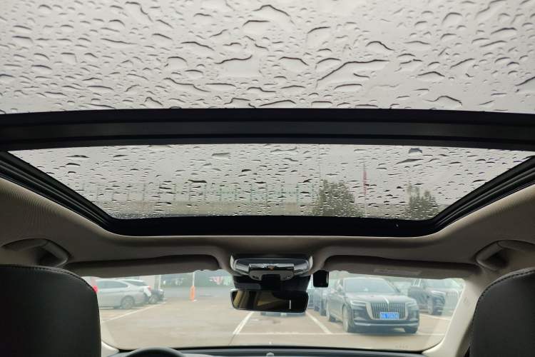 Used Hongqi H5 2024 2.0T Automatic Smart Connect Flagship Edition
