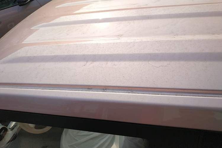 Used  Panda 2025 210 km – Yuanqi Bear
