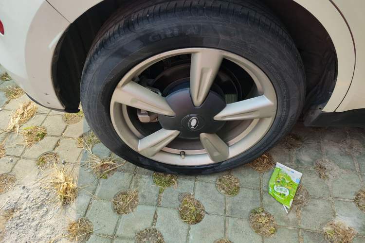 Used ORA Good Cat 2021 400km Standard Range Venus Edition Lithium-Ion Battery