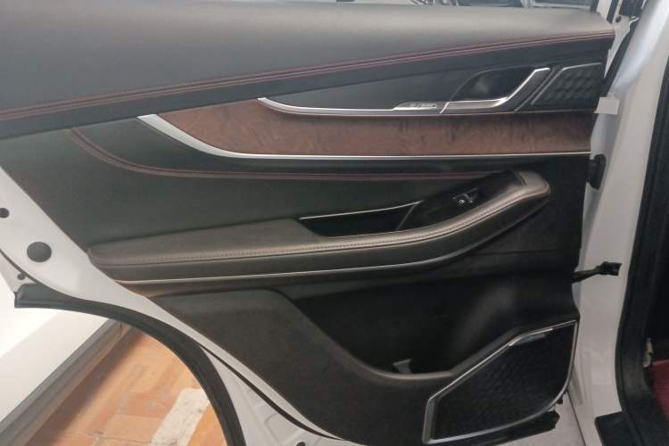 Used  Zhuifeng 2020 Chasing the Waves Edition 1.5T CVT Xingrui Version
