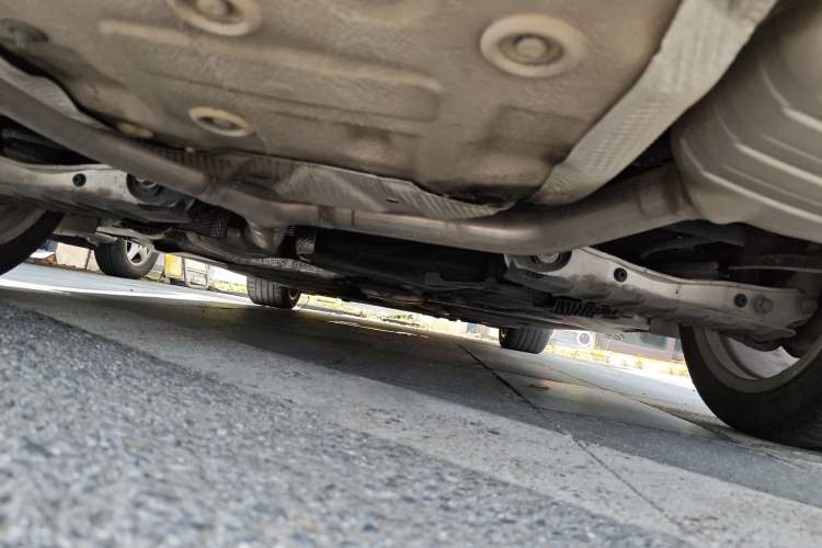 Used Audi A5 2022 Coupe 40 TFSI Fashion Dynamic Model