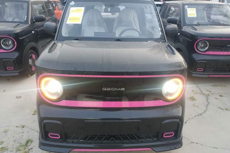 Used  Panda 2025 210km Panda Kart
