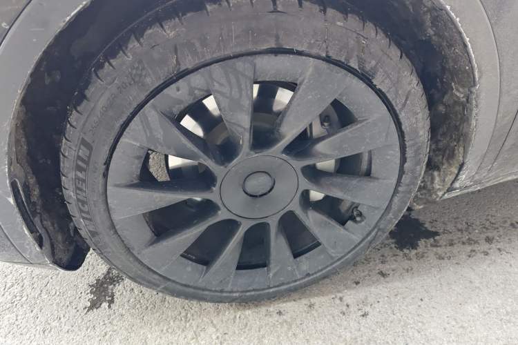 Used Tesla Model Y 2021 Long-Range All-Wheel-Drive Version