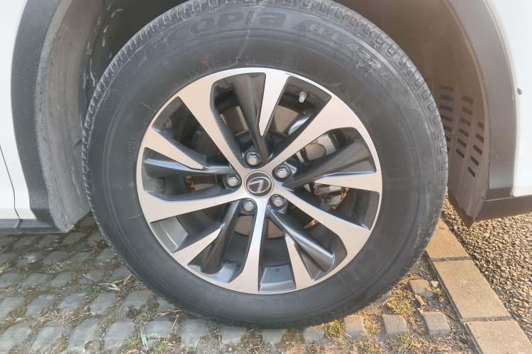 Used Lexus RX 2020 300 Two-Wheel Drive Elite Edition China VI Standard