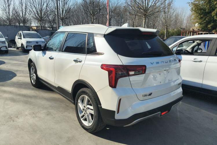 Used Venucia T60EV 2020 AI Enjoyment Model