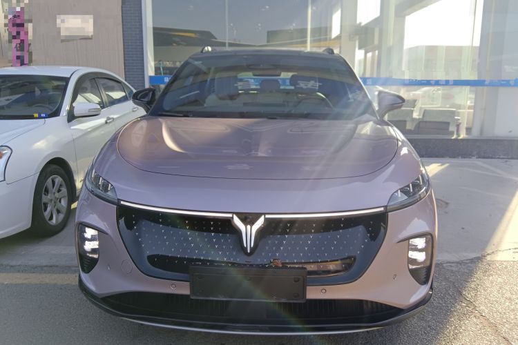 Used VOYAH COURAGE 2024 Four-Wheel Drive Global Edition
