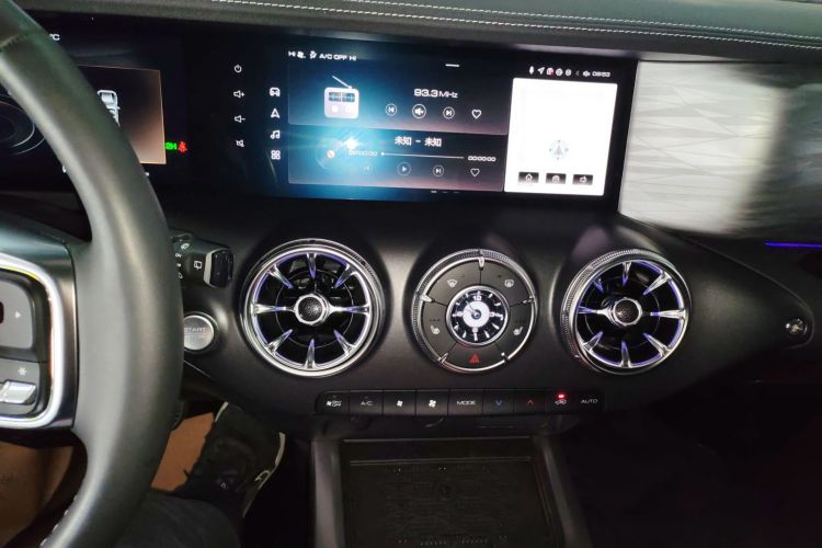 Used Tank 300 2024 2.0T Conqueror
