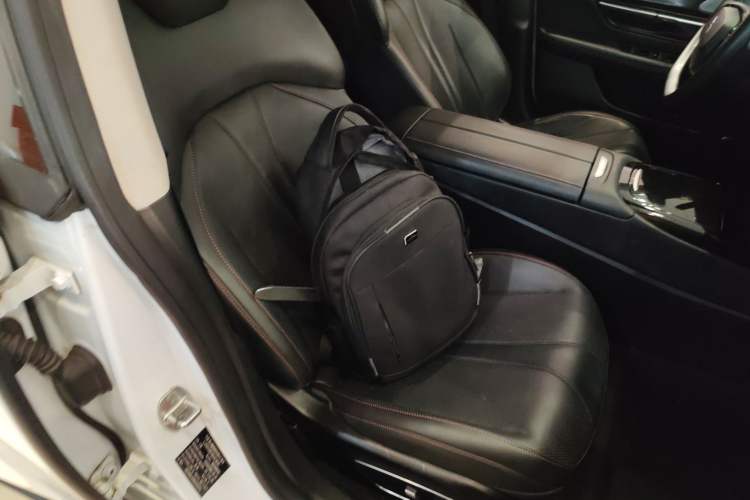 Used XPeng P7 2021 480N
