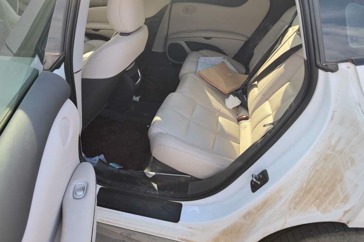 Used  L6 2024 Max Long-Range Version
