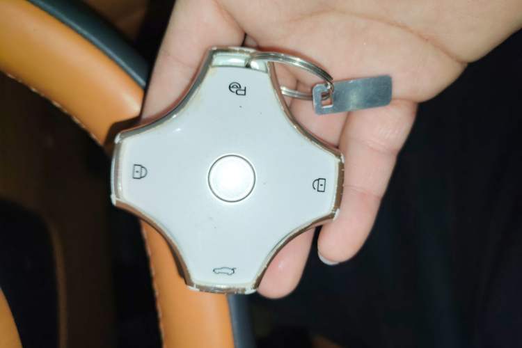 Used  eπ008 2025 210 Ultra LikeYi Edition 5-Seater
