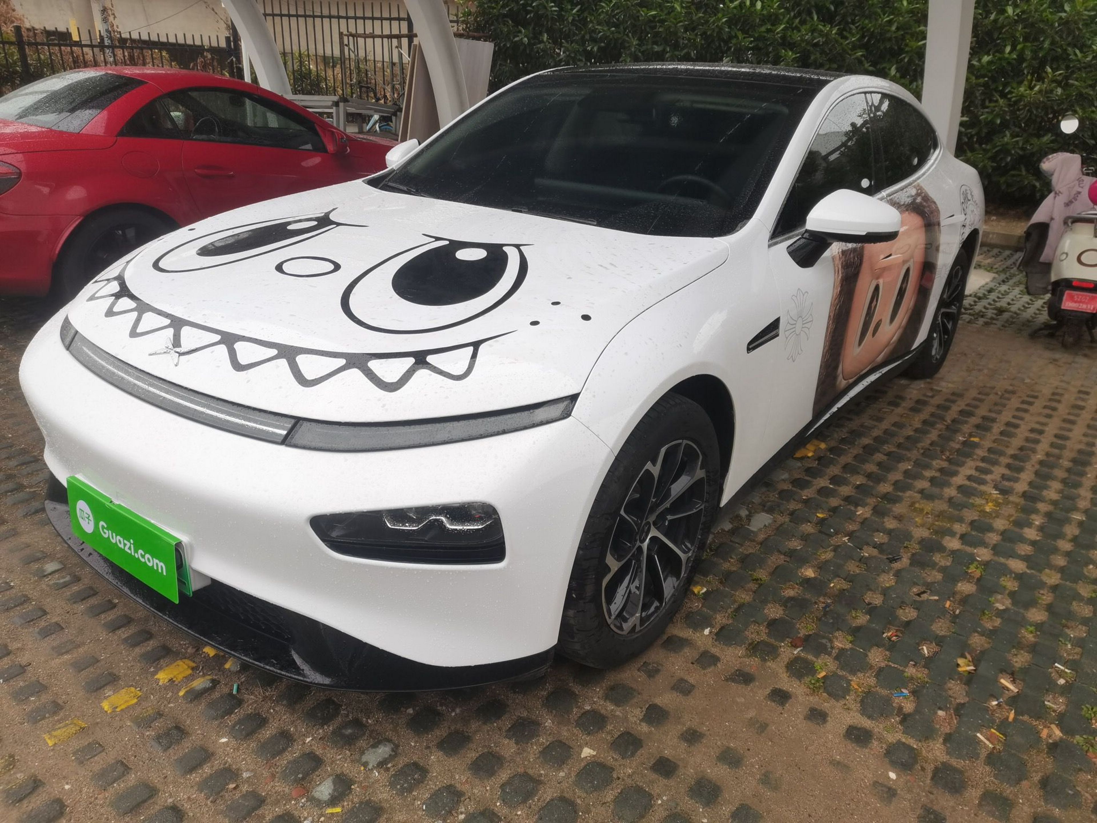 تحت مقدمة السيارة