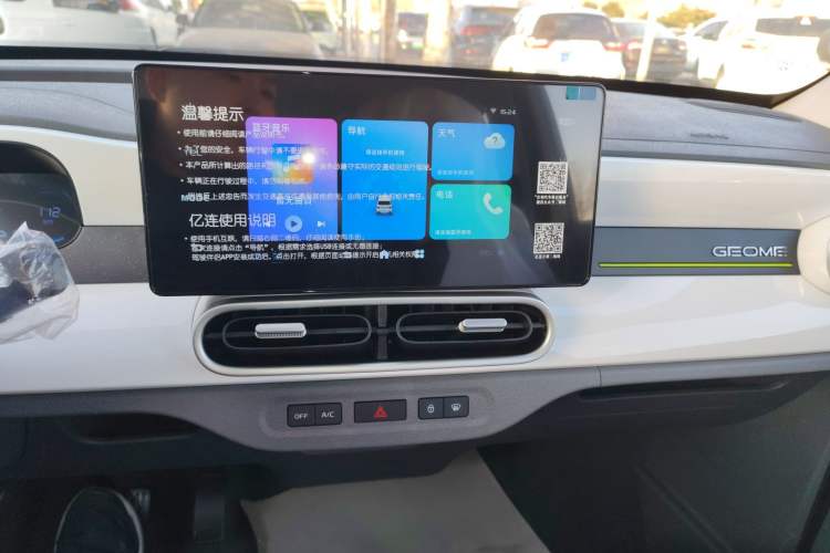 Used  Panda 2025 210 km – Yuanqi Bear
