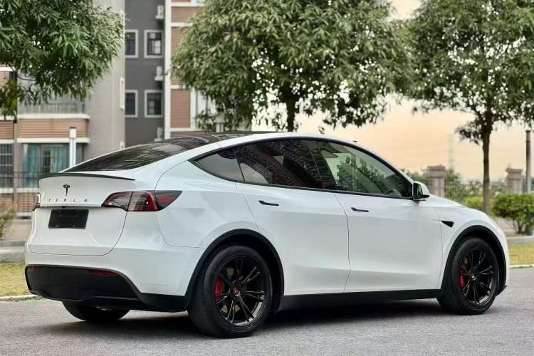Used Tesla Model Y 2021 Standard Range Rear-Wheel Drive Version

