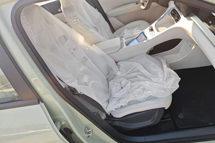 Used  Geome 2025 310km Youth Edition
