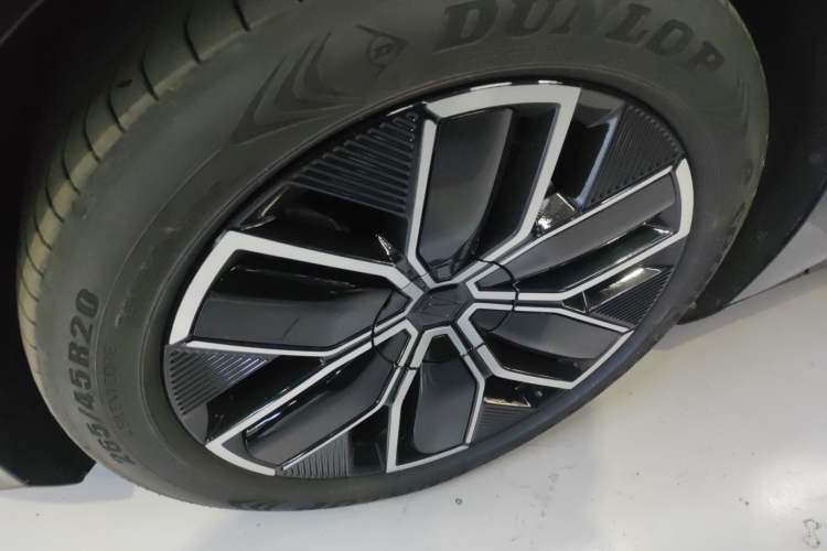 Used  12 2025 Max Extended-Range Edition
