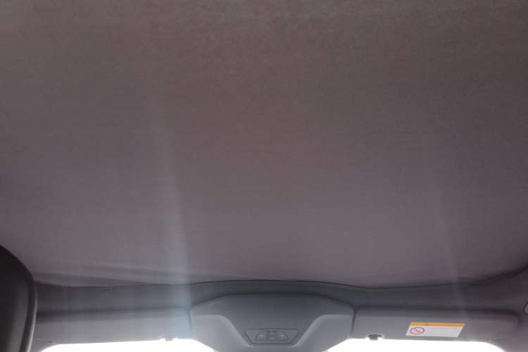 Used  06 2025 Ultra Pure Electric Edition