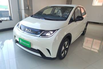 Used BYD Dolphin 2025 420km Free Edition