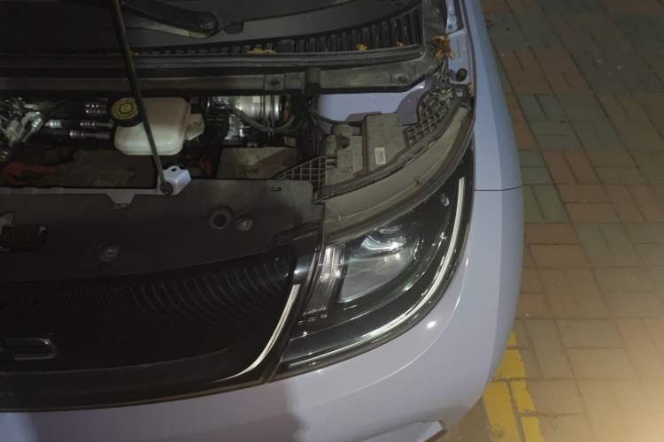 Used BYD Dolphin 2024 Honor Edition 420km Fashion Version
