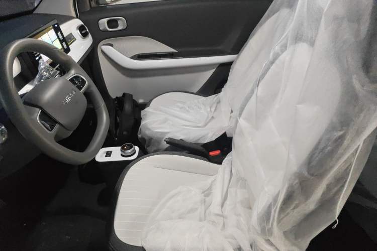 Used  Panda 2025 210 km – Yuanqi Bear
