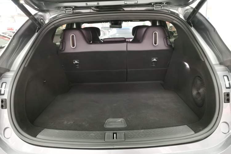 Used  07 2024 Max Extended-Range Edition