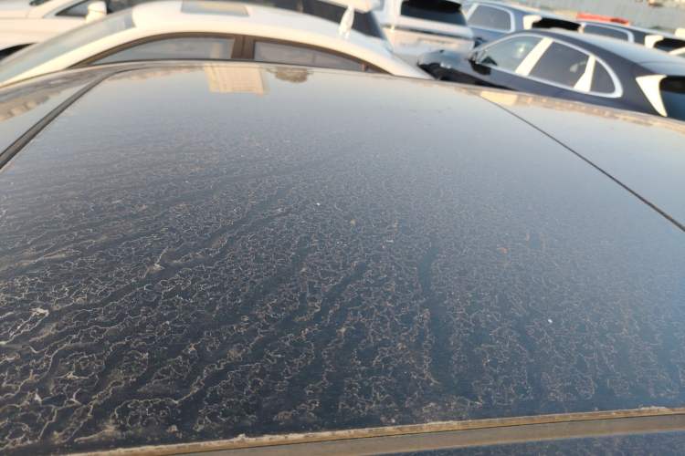 Used Baojun RM-5 2019 1.5T CVT 24-Hour Online Prestige Version 6 Seats
