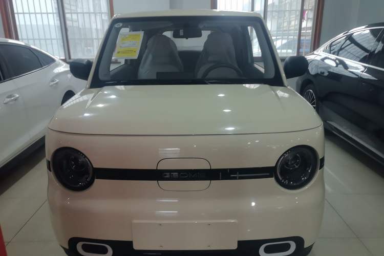 Used  Panda 2025 210 km – Yuanqi Bear
