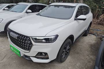 Used Haval H6 2023 National Trend Edition 1.5T Automatic Urban Version