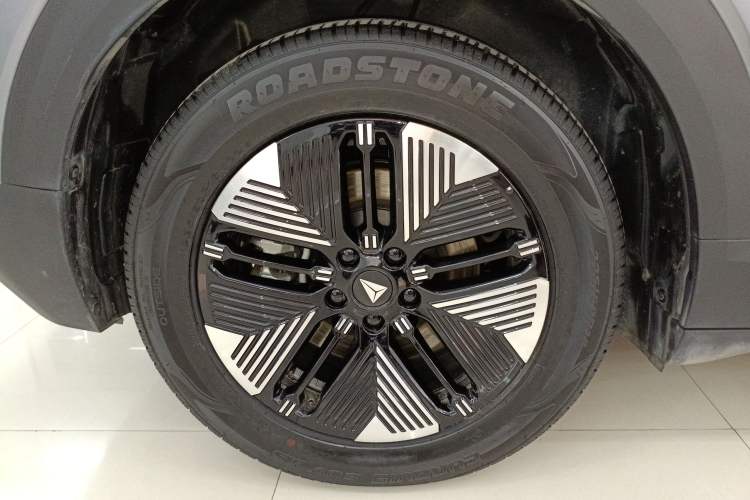 Used  S05 2026 Model 520Plus Pure Electric Edition
